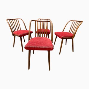 Tschechoslowakische Stühle von Antonín Šuman, 1960er, 4er Set