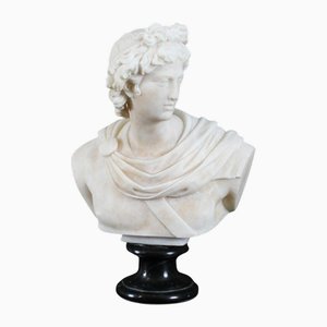 Italian Artist, Antique Greek God Apollo Belvedere, 19th Century, Alabaster Marble Bust