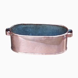 Victorian Copper Crocus Planter