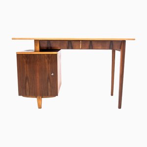 Vintage Desk by M. Puchała, Poland, 1960s