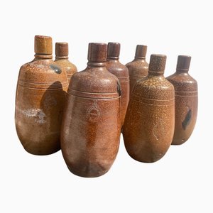 Bouteilles à Vin de Porto Vintage, 1970s, Set de 7