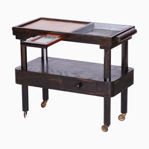 Czech Cubist Trolley in Oak and Mahogany, 1910s