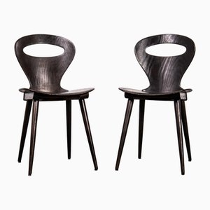 French Dark Walnut Fourmi Dining Chair from Baumann, 1950s, Set of 2