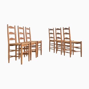 Mid-Century Oak and Rush Chairs, 1950s, Set of 6