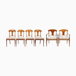 Sedie da pranzo Biedermeier in betulla dorata, Svezia, metà XIX secolo, set di 6