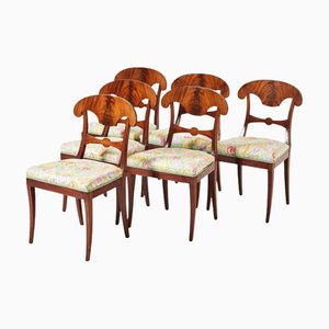 Sedie da pranzo Biedermeier in betulla dorata, Svezia, anni '20, set di 6