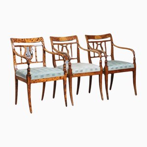 Sedie Biedermeier in betulla dorata, Svezia, fine XIX secolo, set di 3