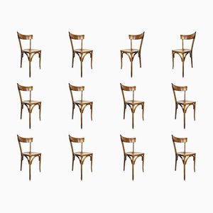 Französische Bistrostühle aus Holz von Baumann, 1960, 12 . Set