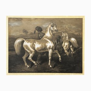 Charles Bargue d'après Alfred De Dreux, Cheval, 1859, Dessin au Crayon sur Lithographie