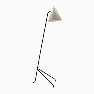 Stehlampe im Grasshopper-Stil von W. Hagoort, 1960er