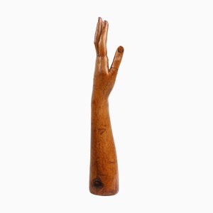 Display Mannequin Hand in Pine, France, 1890s