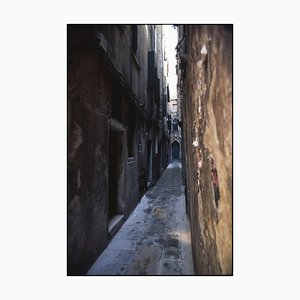 Paul Cooklin, Allée, Photographie
