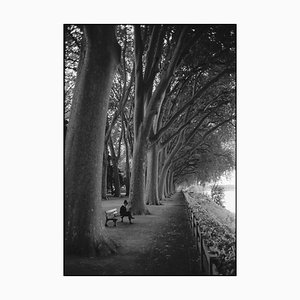 Paul Cooklin, Treeline, Silver Gelatin Photograph