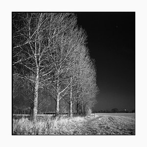 Paul Cooklin, West Thorpe I, Silver Gelatin Photograph