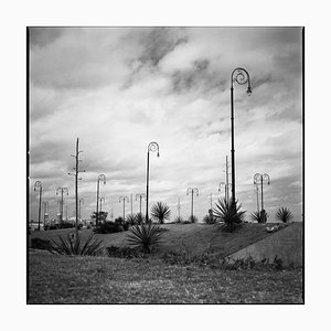 Paul Cooklin, Street Lights, Silver Gelatin Photograph