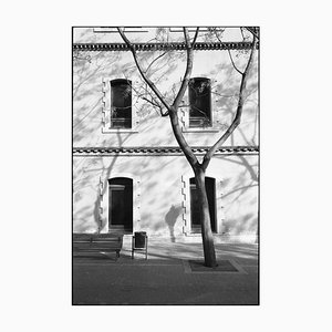 Paul Cooklin, Tree and Windows, 2016, Silver Gelatin Photograph, Limited Edition of 10