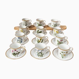 Swedish Landscape Flowers Porcelain Coffee, Set of 24