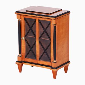 Small Biedermeier Display Cabinet in Cherry Wood, 1850s