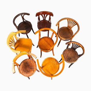 Harlequin Mixed Bentwood Pub Armchairs, 1950s, Set of 8
