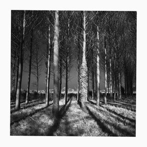 Paul Cooklin, Shadows, Silver Gelatin Photograph, Limited Edition of 10