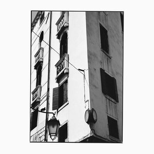 Paul Cooklin, Pigeon, Silver Gelatin Photograph, Limited Edition of 10