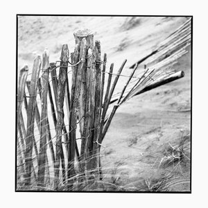 Paul Cooklin, Fence I, Photographie gélatino-argentique, Édition limitée à 10 exemplaires