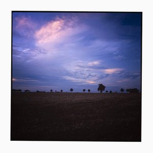 Paul Cooklin, Dusk, Photographie, Édition Limitée de 10