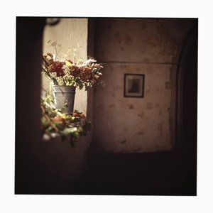 Paul Cooklin, Silence I, Photograph, Limited Edition of 10