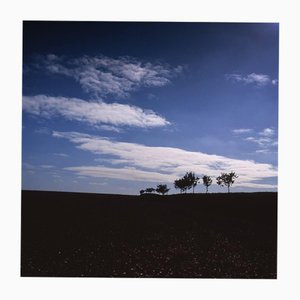 Paul Cooklin, Walsham Le Willows, Edition 2/10