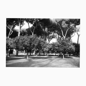 Paul Cooklin, Parco Savello, Silver Gelatin Photograph, Limited Edition of 10