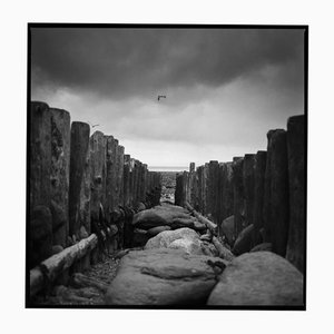 Paul Cooklin, Sea Groyns, Silver Gelatin Photograph, Limited Edition of 10
