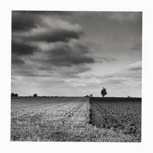 Paul Cooklin, The Dividing Line, Silver Gelatin Photograph, Limited Edition of 10