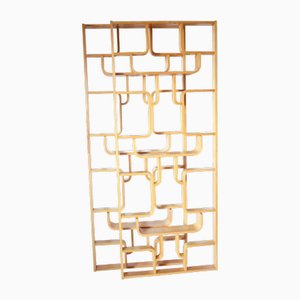 Mid-Century Wall or Room Dividers by Ludvik Volak for Drevopodnik Holesov, 1970s, Set of 2