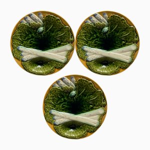 French Majolica Asparagus Plates attributed to Creil & Montereau, 1890s, Set of 3