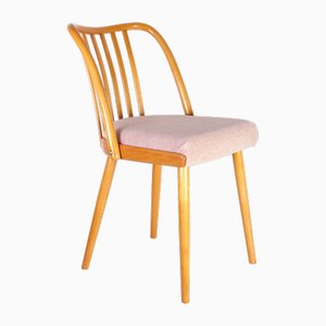 Mid-Century Pink Chair by A. Suman for Cesky Nabytek, Former Czechoslovakia, 1960s