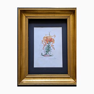 Salvador Dali, Tiger Lilies, 1972, Grabado original en colores firmado a mano, 1972