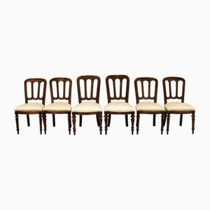 Louis Philippe Chairs in Italian Walnut, Set of 6