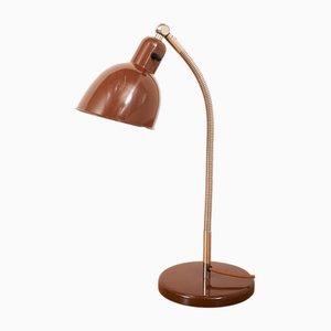 Brown and Chrome-Plated Metal Flexible Lamp by Christian Dell for Belmag, 1950s-1960s