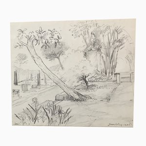 Gerard Diaz, Französische Iris Bleistiftzeichnung, 1988, Tinte