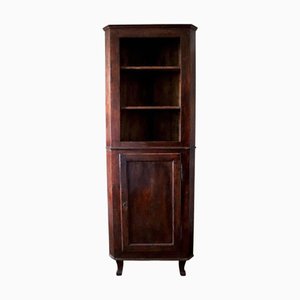 Corner Cabinet with Shelves, 19th Century