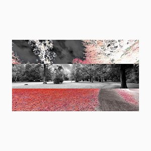 Sumit Mehndiratta, Cyclops Garden, 2025, Archival Pigment Ink Print on Canvas