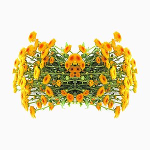 Sumit Mehndiratta, Two to Bloom, 2025, Archival Pigment Ink Print on Canvas