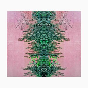 Sumit Mehndiratta, Root Reverse, 2025, Archival Pigment Ink Print on Canvas