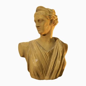 Vintage Bust of Artemis