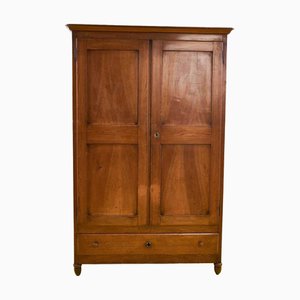 19th Century Double Door Wardrobe in Wood in Walnut Wood