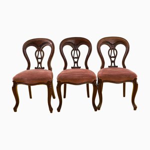 Chaises Antiques en Acajou, Set de 3