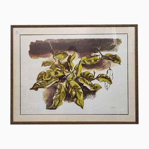 Renato Guttuso, Italie, Papier