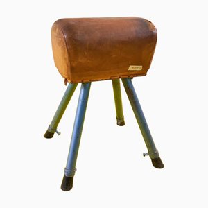 Gym Exercise Horse