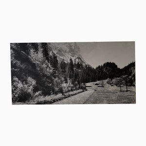 Black and White Mountain Photograph in Wood & Paper, 1970s
