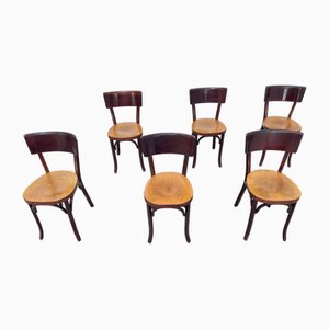 Bistro Chairs from Baumann, 1950s, Set of 6